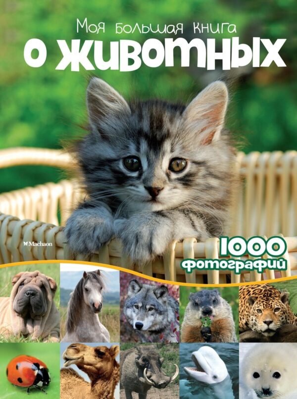 978-5-389-07487-3 Моя большая книга о животных