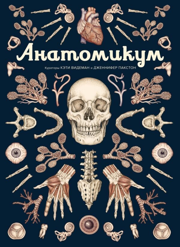 978-5-389-16512-0 Анатомикум