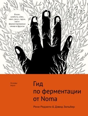 978-5-389-17095-7 Гид по ферментации от Noma
