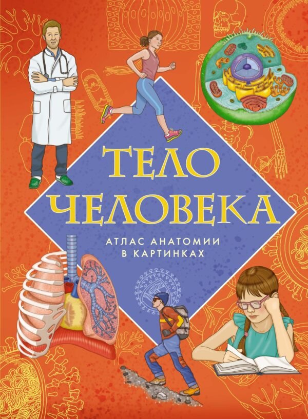978-5-389-25798-6 Тело человека. Атлас анатомии в картинках