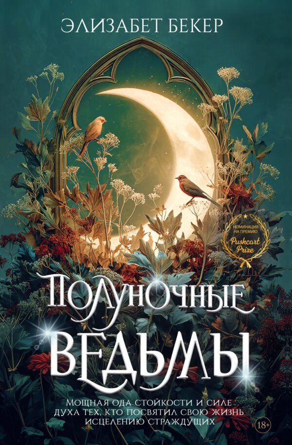978-5-389-28398-5 Полуночные ведьмы