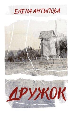 Дружок