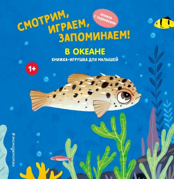 Смотрим, играем, запоминаем! В океане
