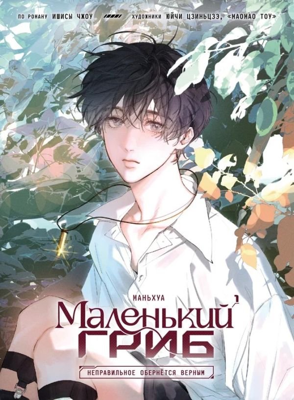 cover1__w600-11804 Маленький гриб. Маньхуа. Том 1