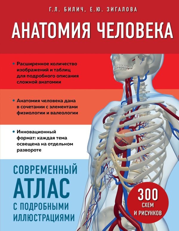 cover1__w600-14233 Анатомия человека. Современный атлас с подробными иллюстрациями