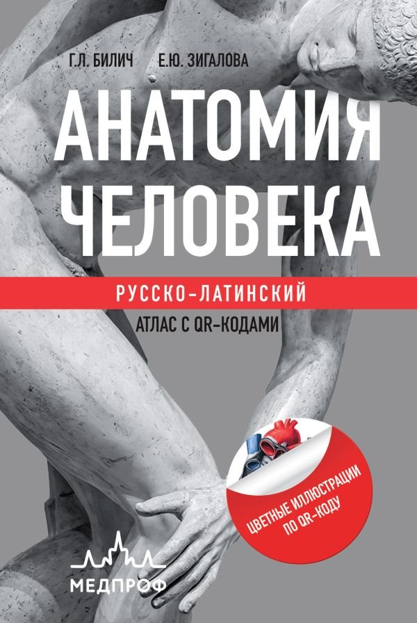 cover1__w600-14234 Анатомия человека: Русско-латинский атлас с QR-кодами на цветные изображения