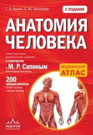 cover1__w600-14239 Анатомия человека (цветной атлас): 2 издание