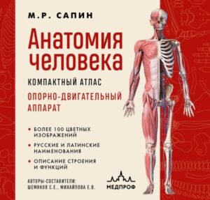 cover1__w600-14247 Анатомия человека. Компактный атлас. Опорно-двигательный аппарат