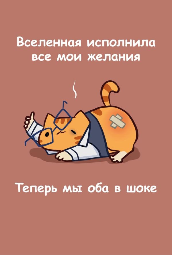 Авторский блокнот. Мурчальня. Вселенная исполнила все мои желания. Теперь мы оба в шоке. А5 64 л.