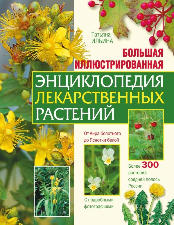 cover1__w600-16580 Большая иллюстрированная энциклопедия лекарственных растений