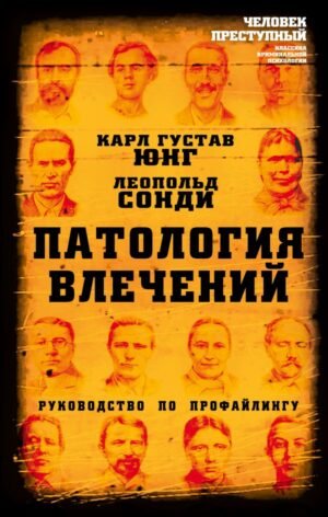 cover1__w600-17230 Патология влечений. Руководство по профайлингу