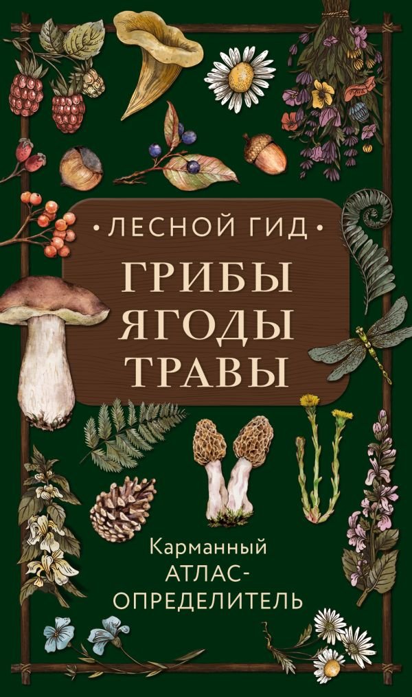 cover1__w600-17317 Лесной гид: грибы, ягоды, травы. Карманный атлас-определитель