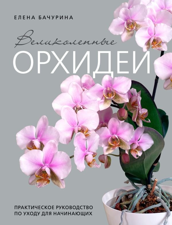 cover1__w600-22891 Великолепные орхидеи. Практичное руководство по уходу для начинающих