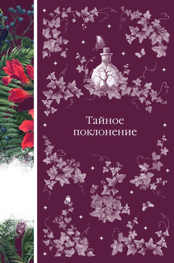 cover1__w600-23719 Тайное поклонение (книга #4)