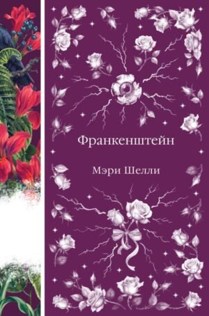 cover1__w600-23721 Франкенштейн, или Современный Прометей (книга #7)