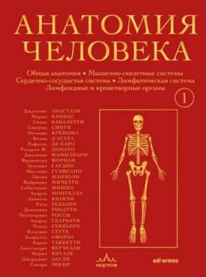 cover1__w600-4852 Анатомия человека. Эксклюзивное издание с 50-летней историей. Том 1