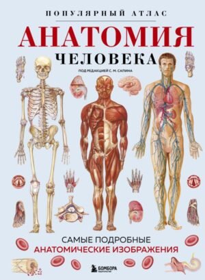 cover1__w600-4855 Анатомия человека. Популярный атлас. Самые подробные анатомические изображения