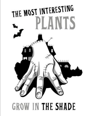 cover1__w600-5732 Вещь:The most interesting plants grow in the shade. Вещь. Блокнот в точку