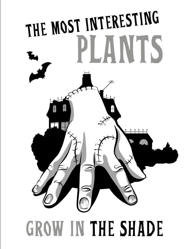 cover1__w600-5732 Вещь:The most interesting plants grow in the shade. Вещь. Блокнот в точку