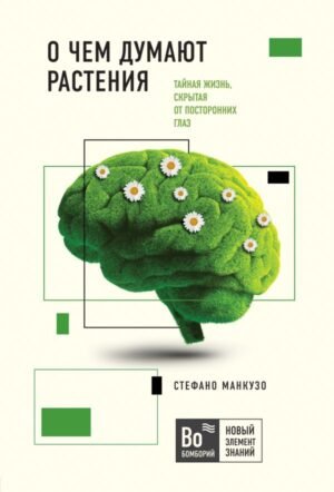 cover1__w600-5959 О чем думают растения