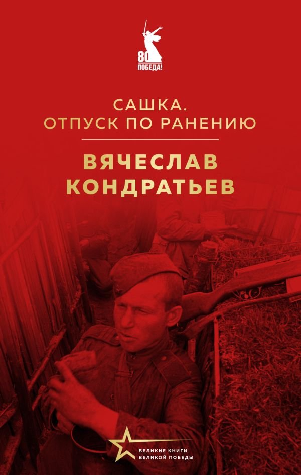 cover1__w600-6162 Сашка. Отпуск по ранению
