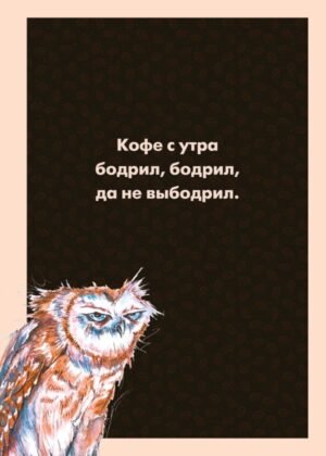cover1__w600-7581 Блокнот в клетку. Сова (А4, 48 л., на пружине)