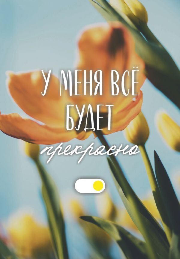 cover1__w600-8929 У меня все будет прекрасно. Ежедневник недатированный (А5, 72 л.)