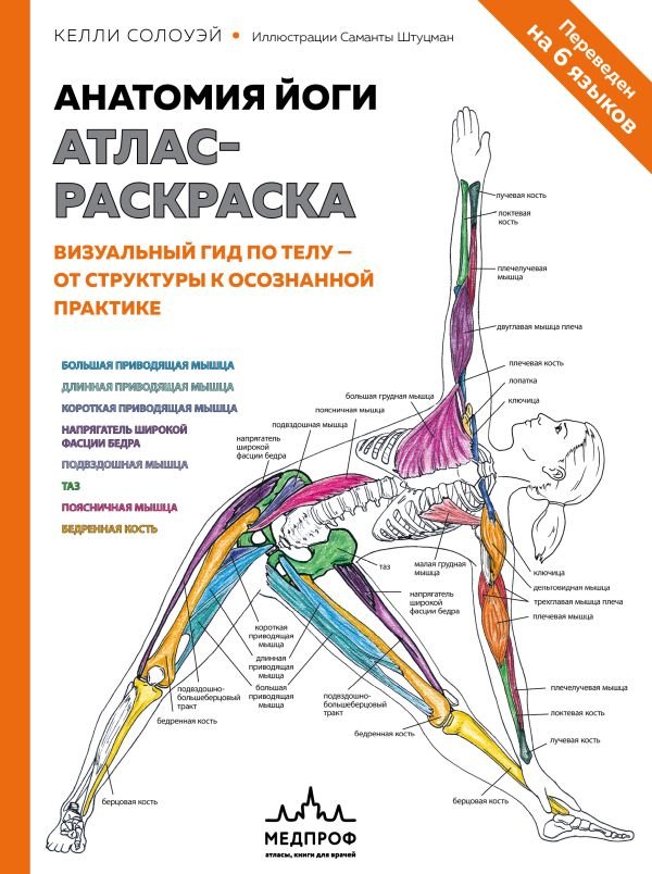 cover1__w600-9971 Анатомия йоги: атлас-раскраска. Визуальный гид по телу — от структуры к осознанной практике