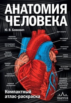 cover1__w600-9974 Анатомия человека: компактный атлас-раскраска