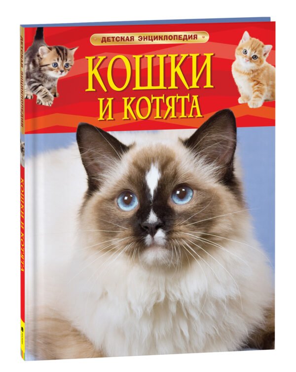 image_large_5595dc452d8811ee9e70ac1f6bd74cbc Кошки и котята. Детская энциклопедия