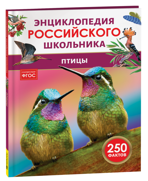 image_large_6df27aa4993611ef95d000505682e397 Птицы. Энциклопедия российского школьника