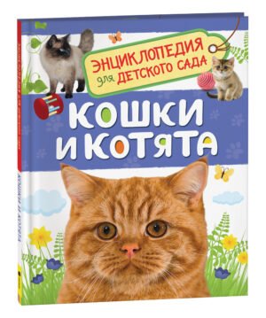 Кошки и котята (Энциклопедия для детского сада)