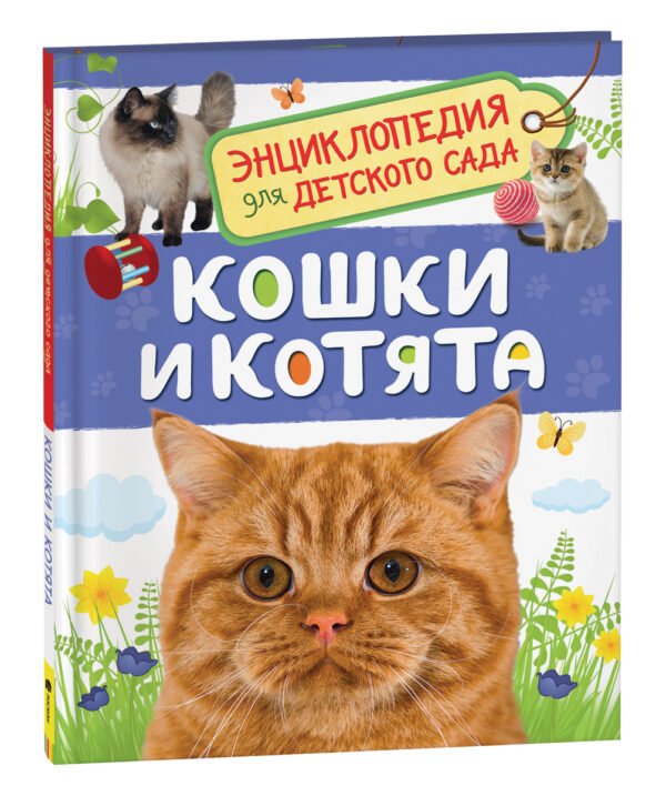Кошки и котята (Энциклопедия для детского сада)