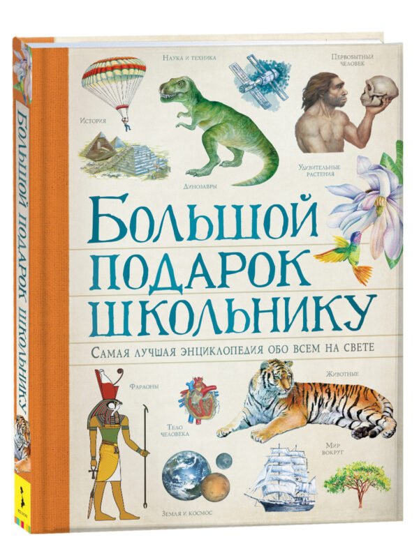 image_large_9aa34d302da711ee9e70ac1f6bd74cbc Большой подарок школьнику