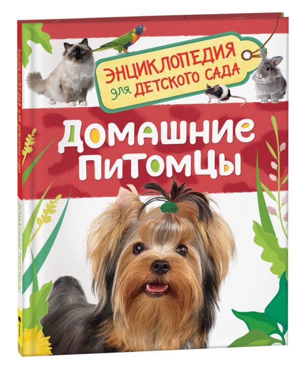 image_large_bf253bea2da011ee9e70ac1f6bd74cbc Домашние питомцы (Энциклопедия для детского сада)