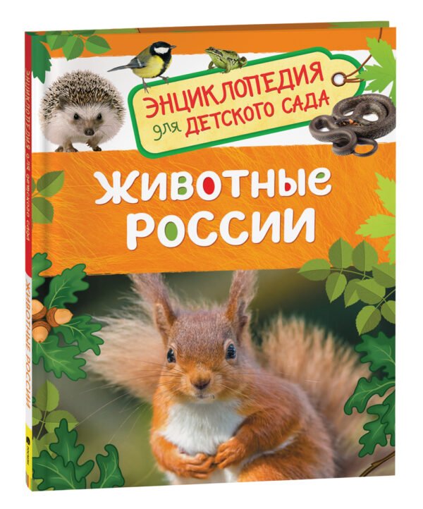 Животные России (Энциклопедия для детского сада)