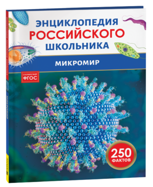 Микромир. Энциклопедия российского школьника